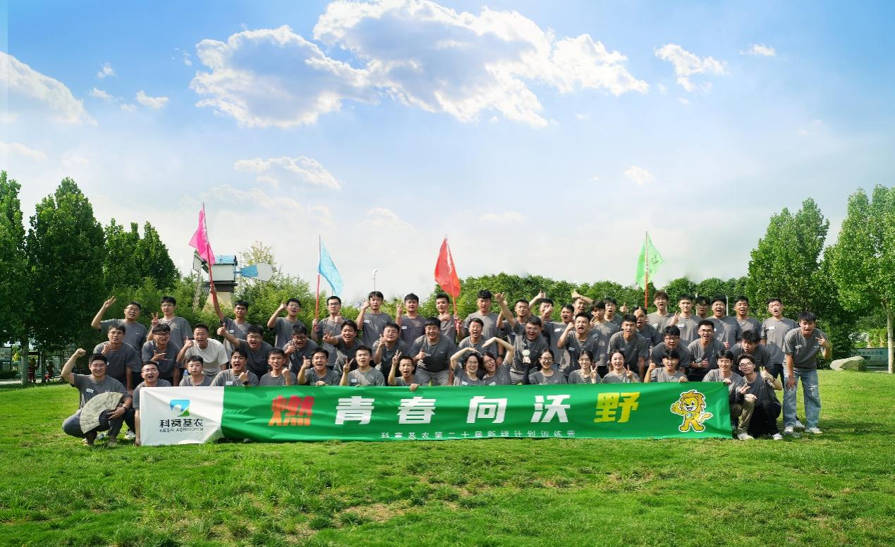 赢销官培养计划